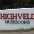 highveld-mnandi